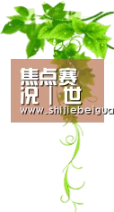 焦点赛况 | 世界杯入口资讯站 - 2026 FIFA世界杯