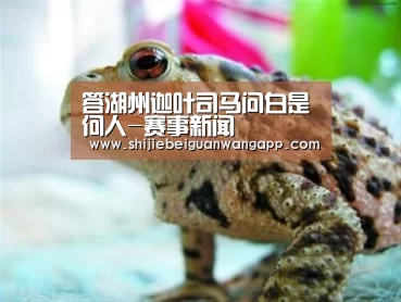 答湖州迦叶司马问白是何人-赛事新闻(图3) 美加墨世界杯