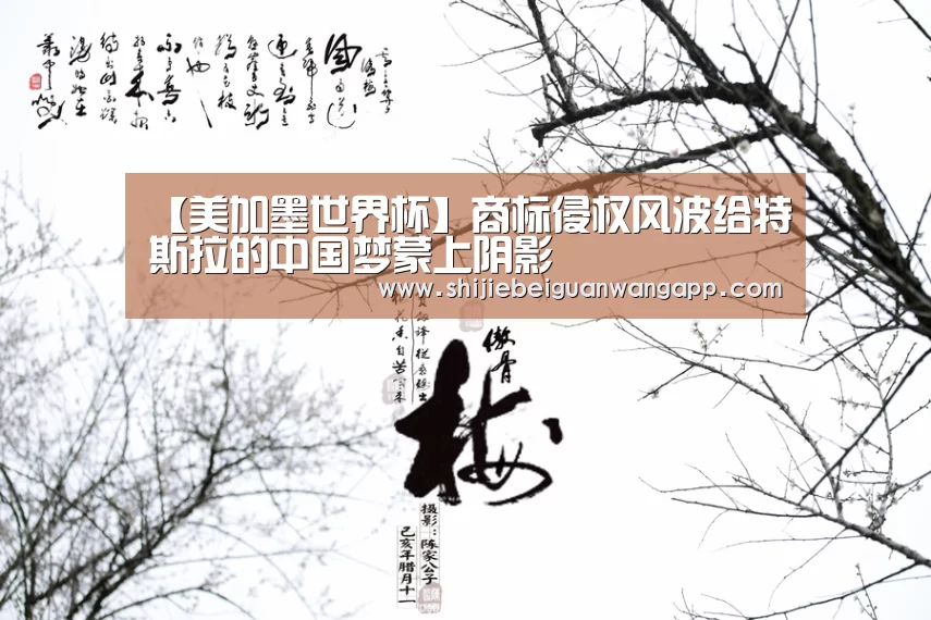 【美加墨世界杯】商标侵权风波给特斯拉的中国梦蒙上阴影(图1) 实时比分