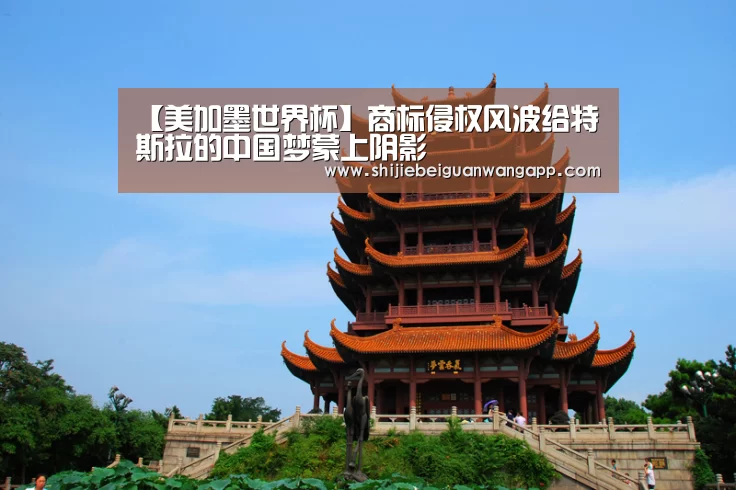 【美加墨世界杯】商标侵权风波给特斯拉的中国梦蒙上阴影(图2) 美加墨世界杯