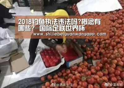 2018钓鱼执法违法吗?概念有哪些?-国际足联世界杯(图2) 赛事新闻