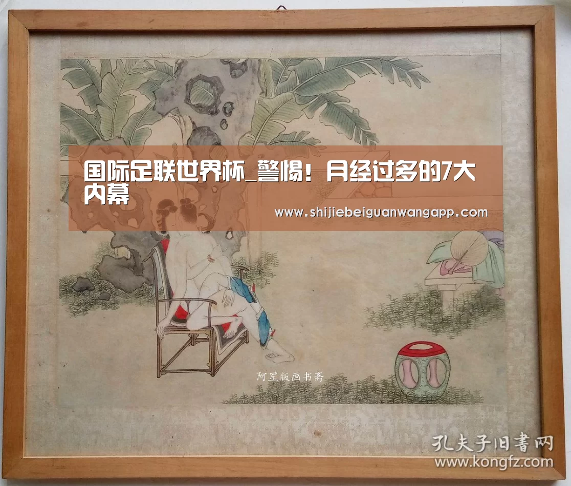 国际足联世界杯