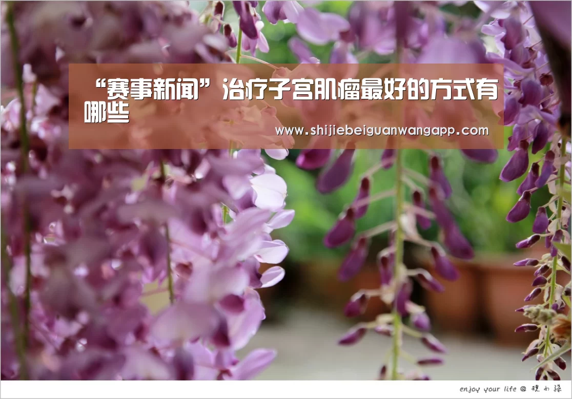 赛事新闻