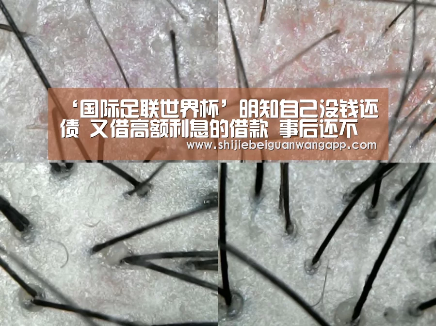 ‘国际足联世界杯’明知自己没钱还债 又借高额利息的借款 事后还不清债务算不算诈骗?(图1) 实时比分