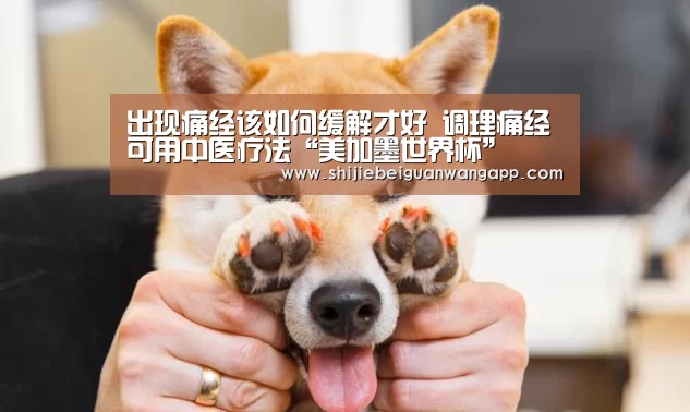 赛事新闻