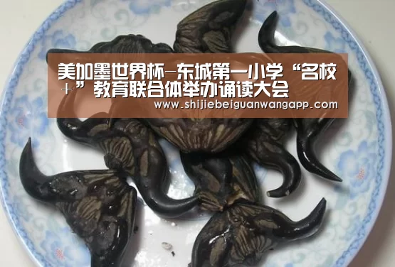 美加墨世界杯-东城第一小学“名校+”教育联合体举办诵读大会(图2) 美加墨世界杯