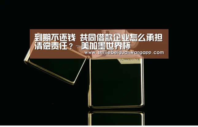 到期不还钱 共同借款企业怎么承担清偿责任?-美加墨世界杯(图3) 赛事新闻