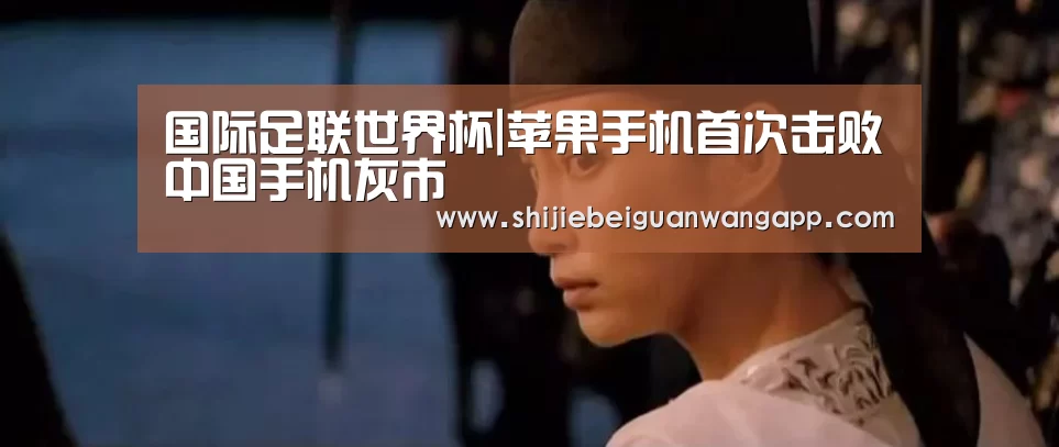 国际足联世界杯|苹果手机首次击败中国手机灰市(图1) 赛事新闻