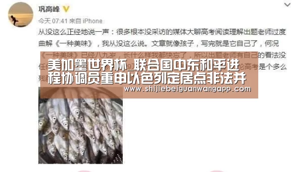 美加墨世界杯_联合国中东和平进程协调员重申以色列定居点非法并构成和平主要障碍(图4) 赛事新闻