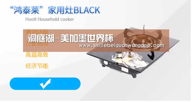 洞庭湖-美加墨世界杯(图3) 赛事新闻