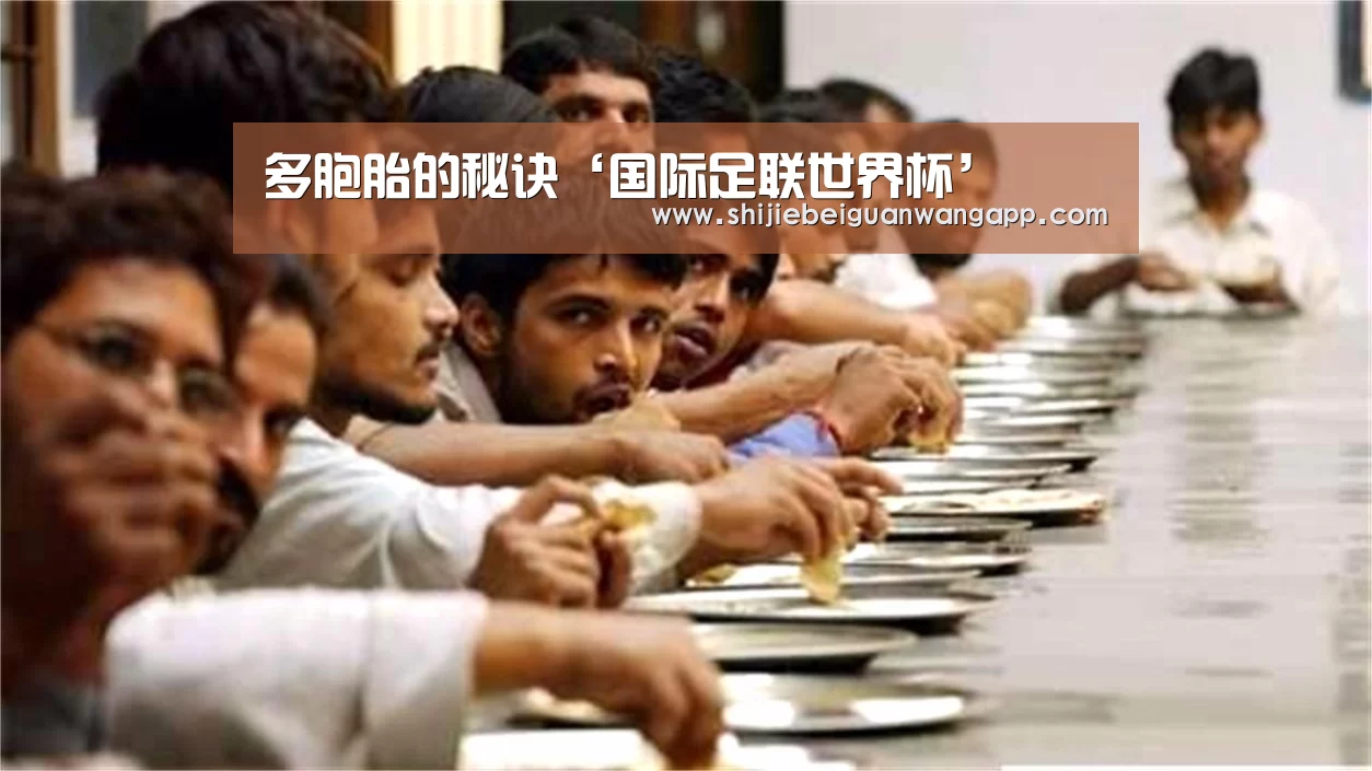 多胞胎的秘诀‘国际足联世界杯’(图3) 赛事新闻