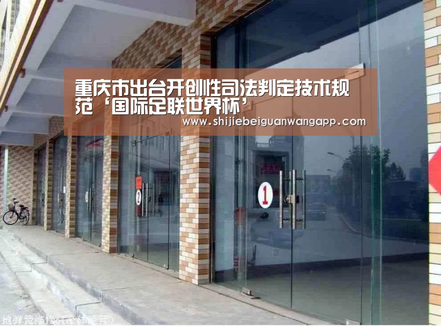 重庆市出台开创性司法判定技术规范‘国际足联世界杯’(图1) 国际足联世界杯