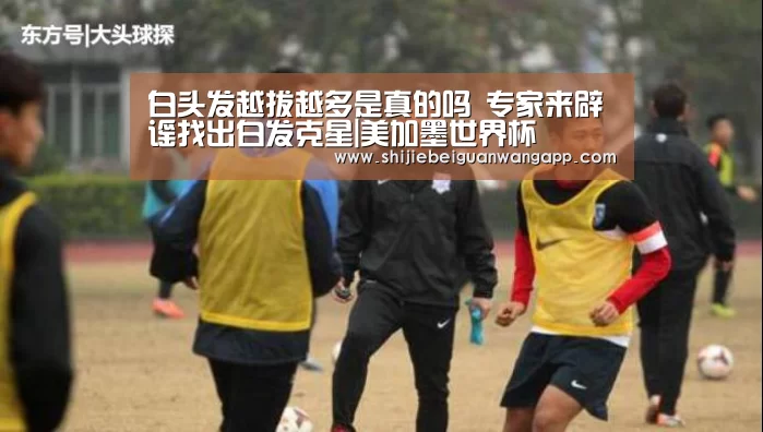 白头发越拔越多是真的吗 专家来辟谣找出白发克星|美加墨世界杯(图1) 美加墨世界杯
