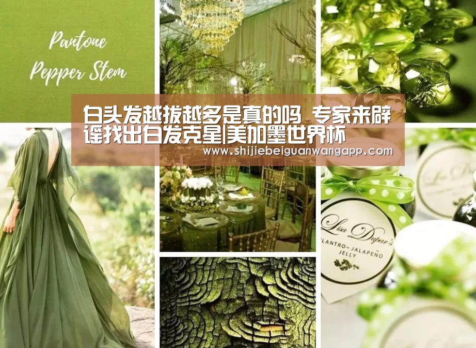 白头发越拔越多是真的吗 专家来辟谣找出白发克星|美加墨世界杯(图3) 美加墨世界杯