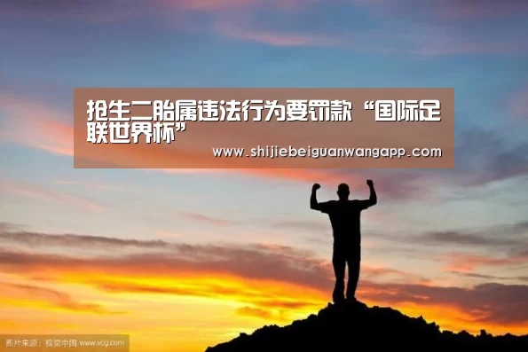 抢生二胎属违法行为要罚款“国际足联世界杯”(图3) 赛事新闻