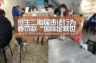 抢生二胎属违法行为要罚款“国际足联世界杯”(图2) 赛事新闻