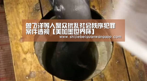 曾飞洋等人聚众扰乱社会秩序犯罪案件透视【美加墨世界杯】(图1) 国际足联世界杯