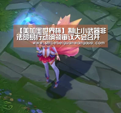 【美加墨世界杯】制止小武器非法贸易行动纲领审议大会召开(图1) 美加墨世界杯
