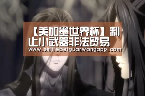 【美加墨世界杯】制止小武器非法贸易行动纲领审议大会召开(图2) 赛事新闻