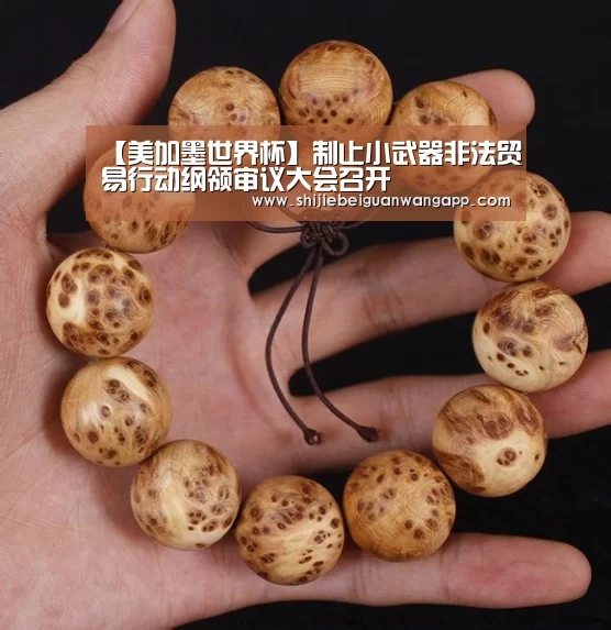 【美加墨世界杯】制止小武器非法贸易行动纲领审议大会召开(图3) 国际足联世界杯
